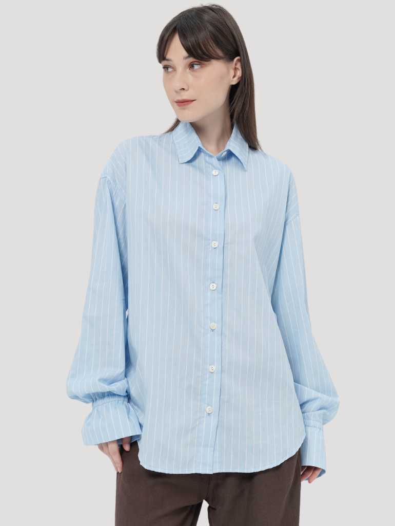 Somerset Shirt in Blue Stripes